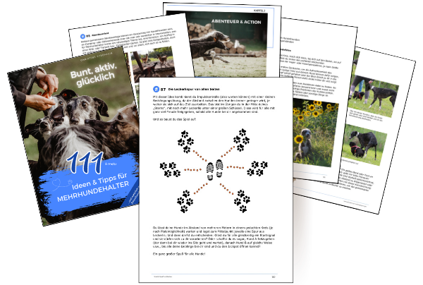 Mehrhundehaltung Buch