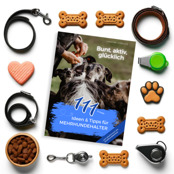 Mehrhundehaltung Tipps Ideen