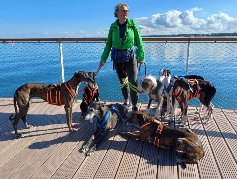 urlaub mit mehreren hunden an der ostsee