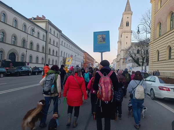 Galgomarsch München, Tierschutz Spanien