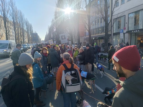 Galgomarsch München, Tierschutz Spanien