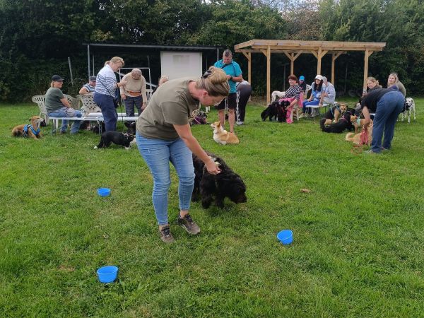 Positives Hundetraining mit viel Spaß für beide Seiten