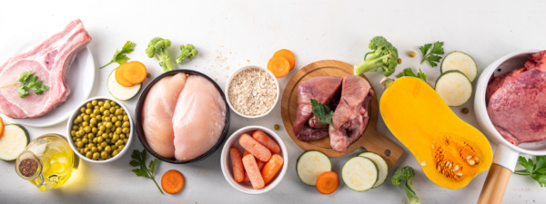 Barfen als gesundes Hundefutter