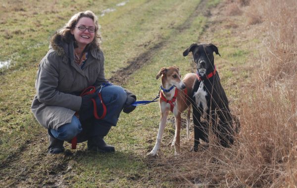 Far from Fear e. V, Pflegestelle, Windhunde, Galgos