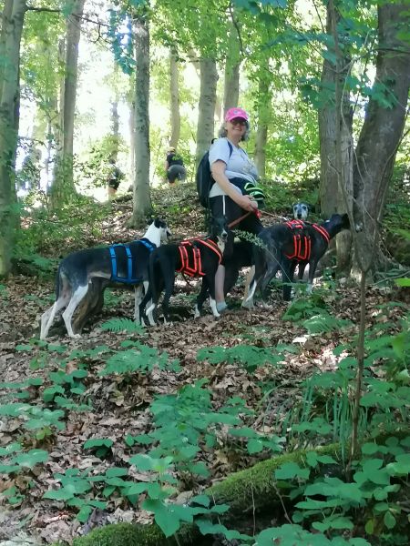Erste Hilfe beim Hund, Wanderung Höllental