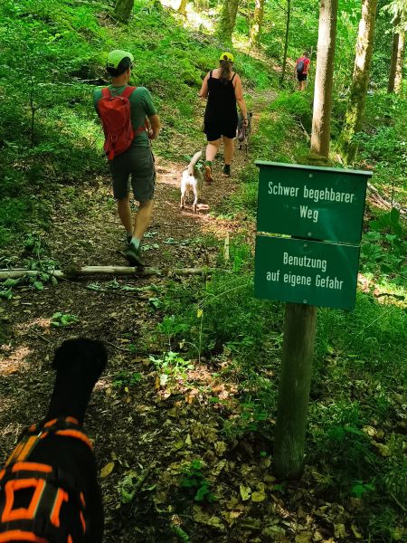 Erste Hilfe beim Hund, Wanderung Höllental