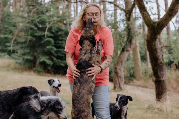 Lieblingshund, Mehrhundehaltung