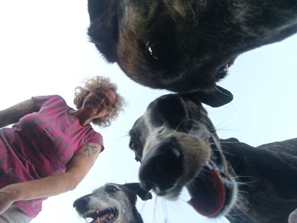 Selfie Mehrhundehaltung