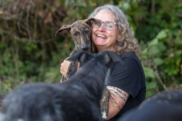 Sozialisierung Hund, Welpe, Galgo