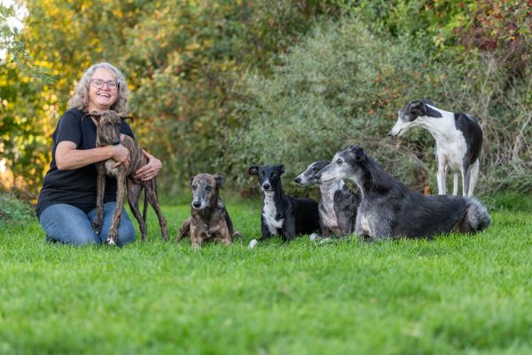 Sozialisierung Hund, Welpe, Galgos